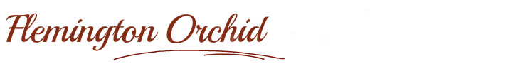 banner 8